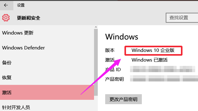 专业版 专业版