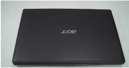 acer acer