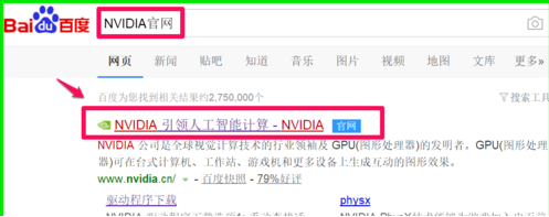 nvidia nvidia