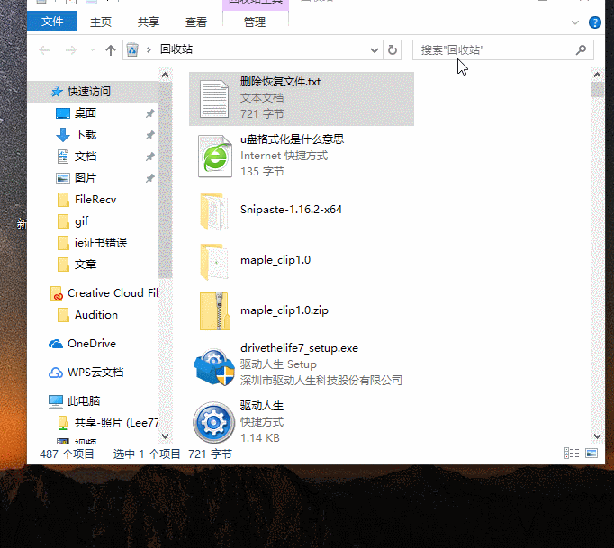 文件恢复 文件恢复