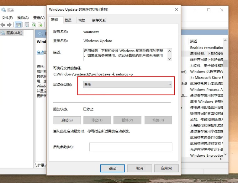 自动更新 自动更新