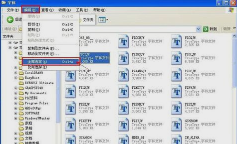 字体文件夹 字体文件夹
