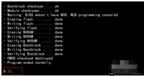 bios bios