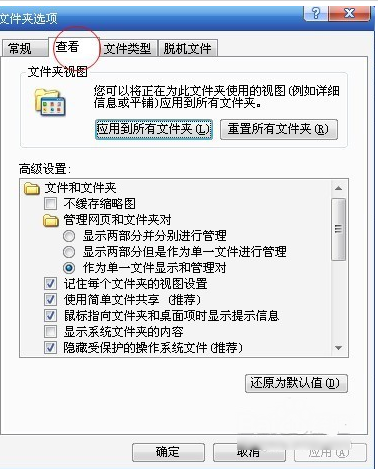 文件 文件