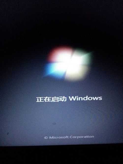 1483858956365038.jpg 4.jpg