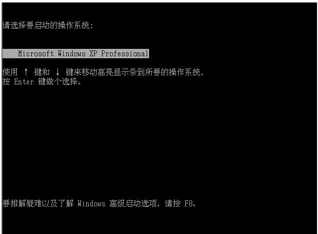 xp xp