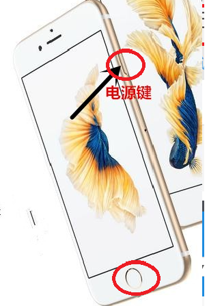1612235882119056.png image.png