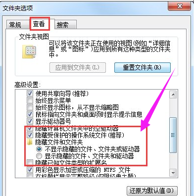 文件夹 文件夹
