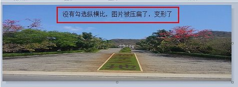 更改图片大小 更改图片大小