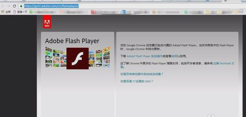 上网问题 上网问题
