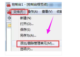 网站 网站