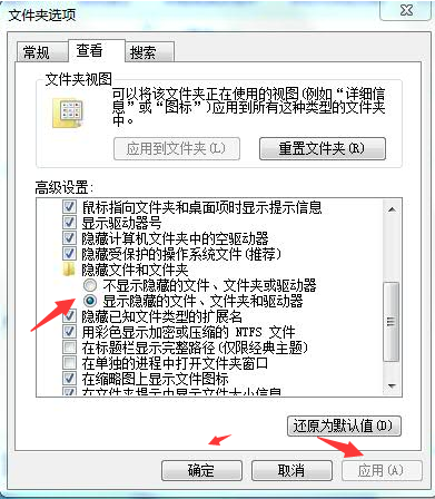 文件 文件