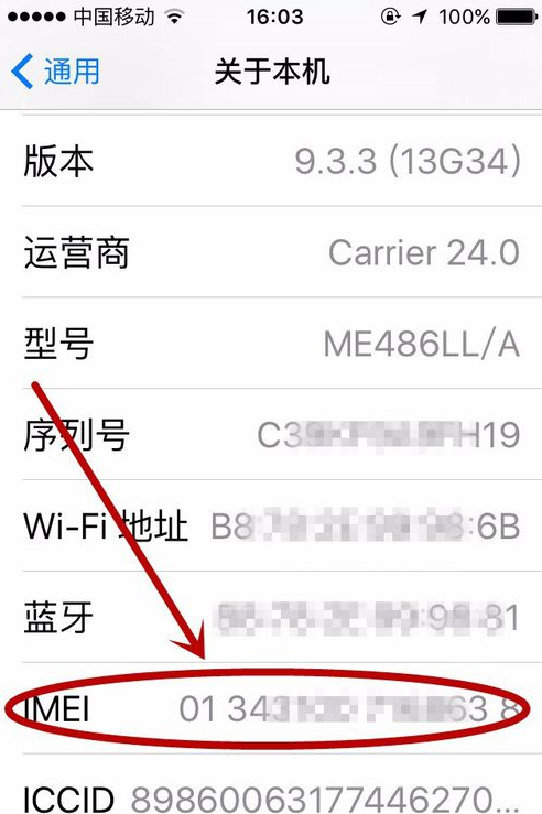 苹果 苹果