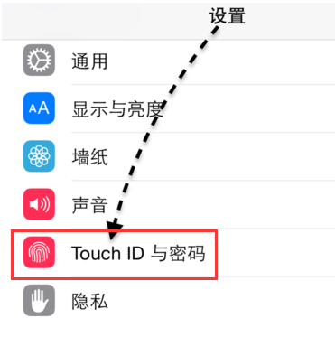 iPhone iPhone