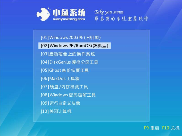 acer acer
